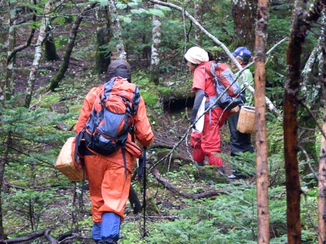キノコ採り出発