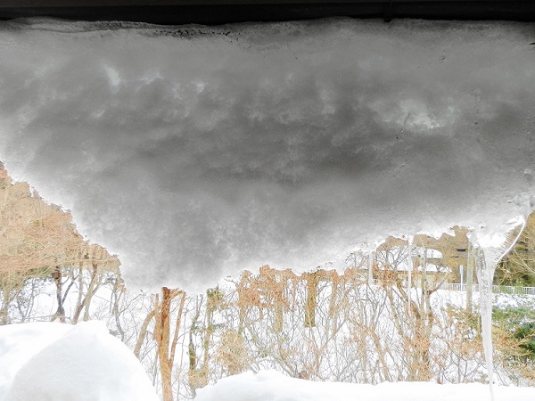 箱根の大雪１