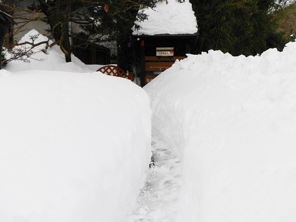 箱根の大雪３