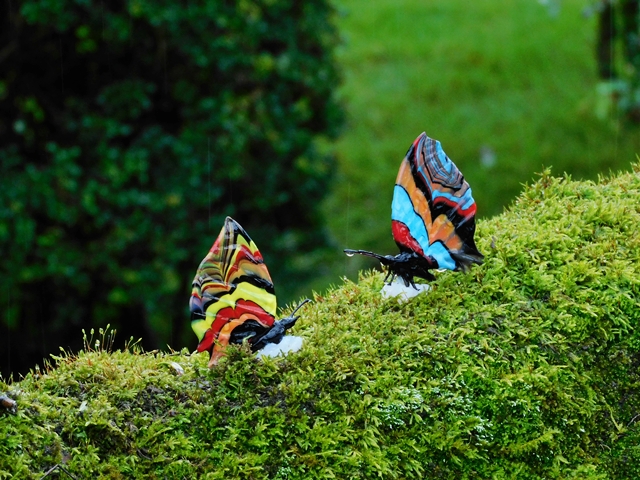 箱根ガラスの森 蝶々