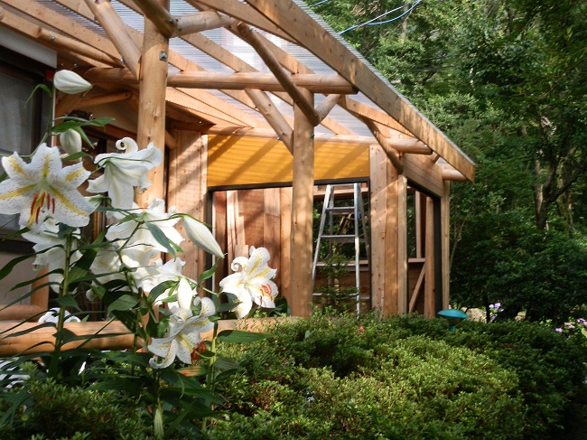 ヤマユリが咲きました