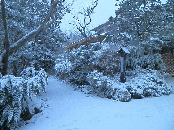 2013年 初雪