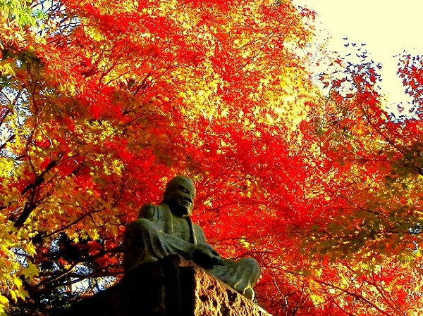 長安寺の紅葉